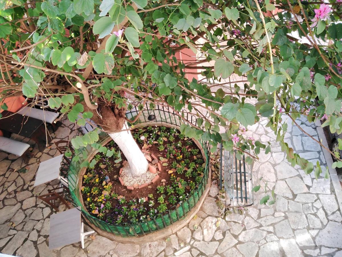 Lilliput Corfu Old Town Appartamento Corfu (city)